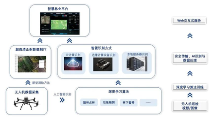 张江企业用人工智能赋能林业管护,让“互联网+林业”照进现实!